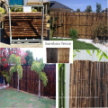 Bamboo Fence 10mm-35mm de alta qualidade